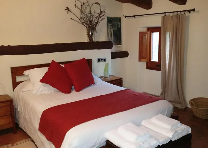 Hotel Masia Bachs 3*