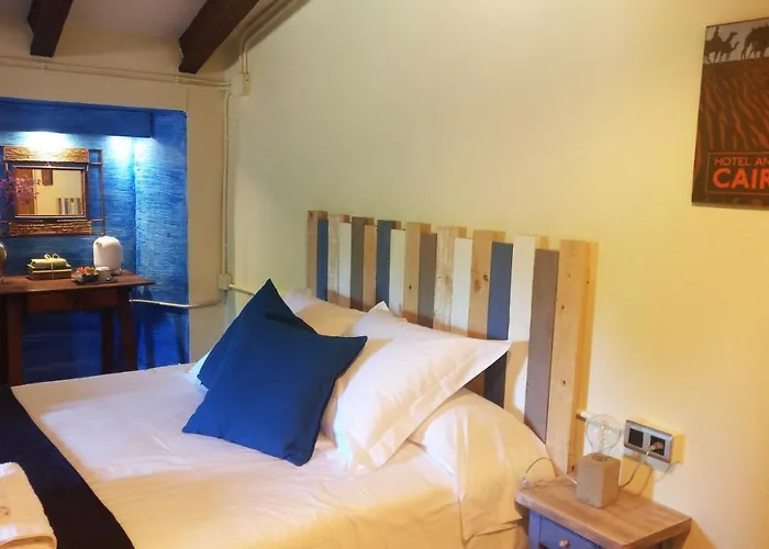 Hotel Masia Bachs